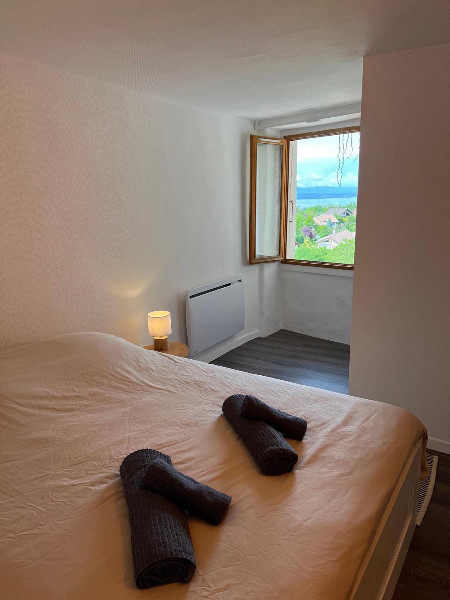 Charmante Maison De Village A 10Min De Thonon-Les-Bains Allinges Экстерьер фото